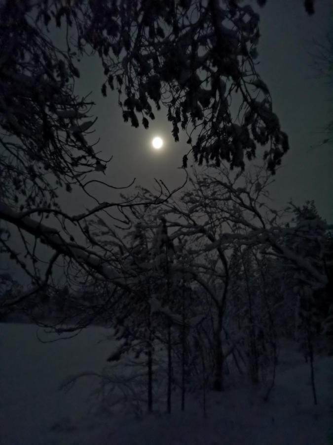 Revontulen Tupa Villa Kaamanen Dış mekan fotoğraf